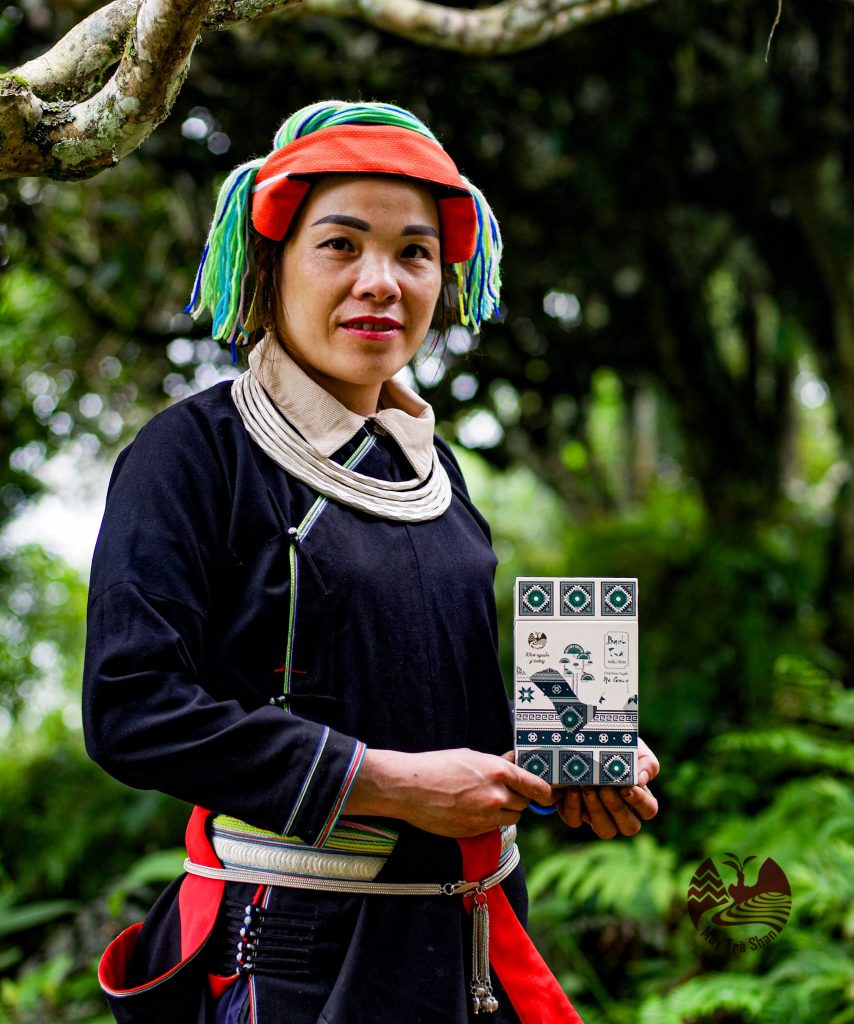 bach-tra-mau-don-may-tra-shan