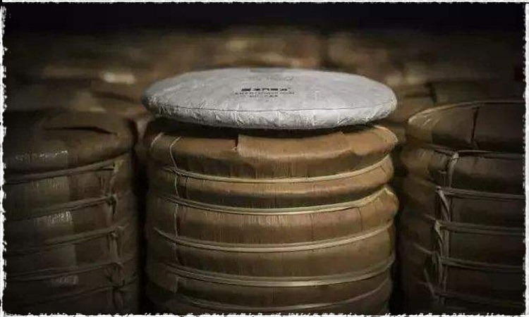 Bao-quan-tra-Pho-Nhi