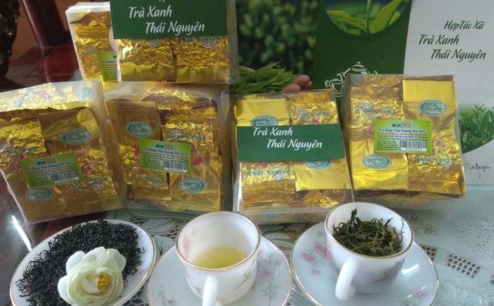 cac-loai-tra-xanh-thai-nguyen