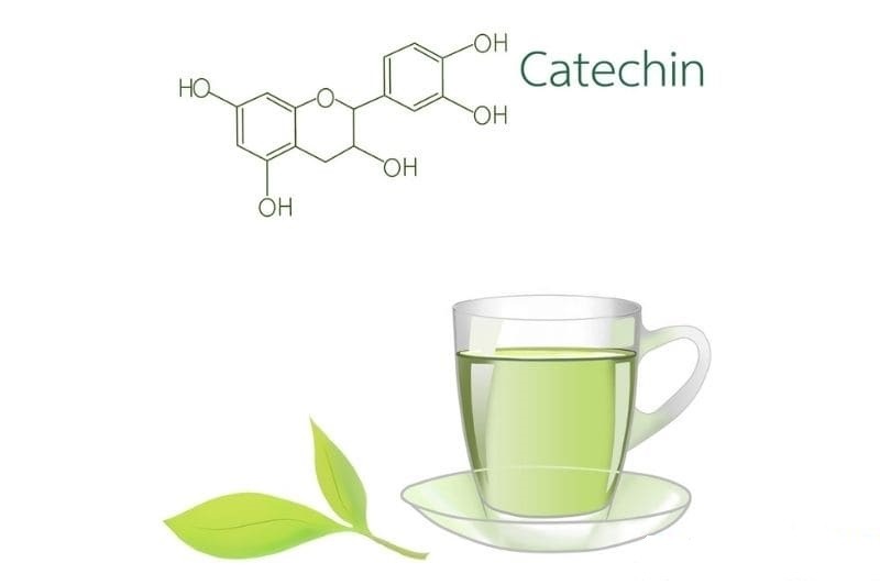 catechin-trong-tra