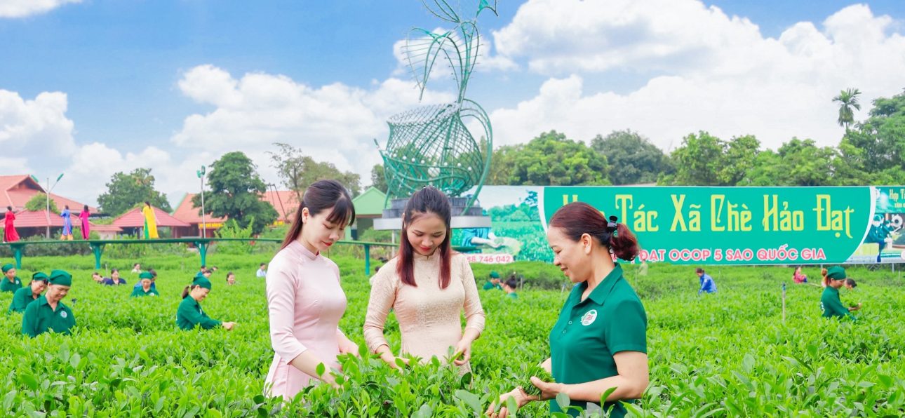 hop-tac-xa-che-thai-nguyen-2