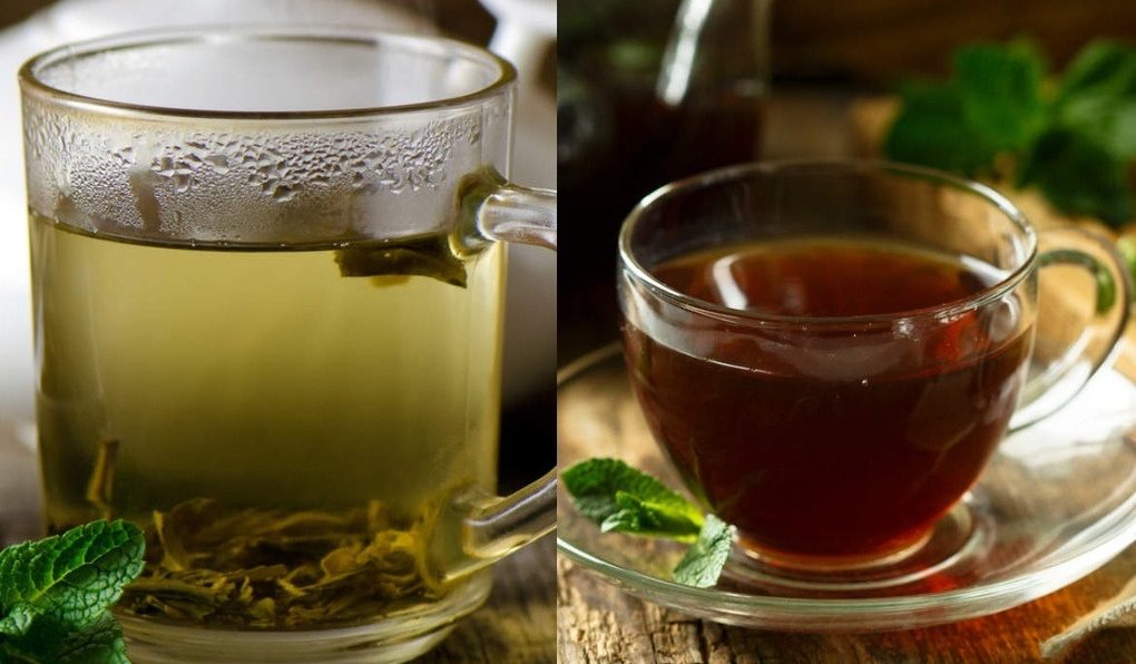 loi-ich-tra-xanh-va-tra-den