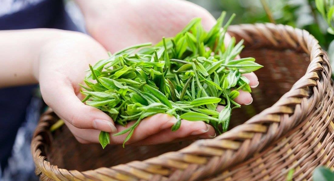 loi-ich-che-1-tom-2-la