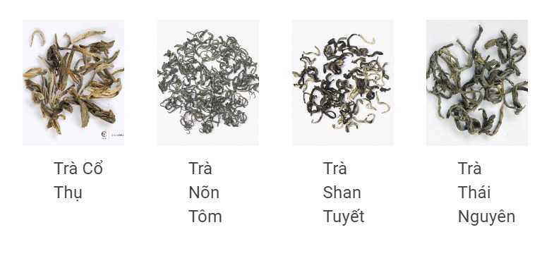 phan-biet-cac-loai-tra