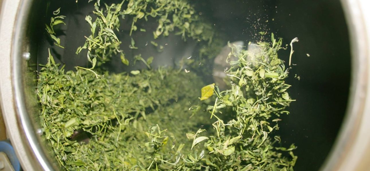 quy-trinh-san-xuat-che