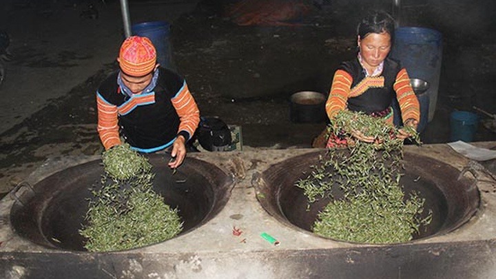 sao-che-dong-bao-mong-ta-xua