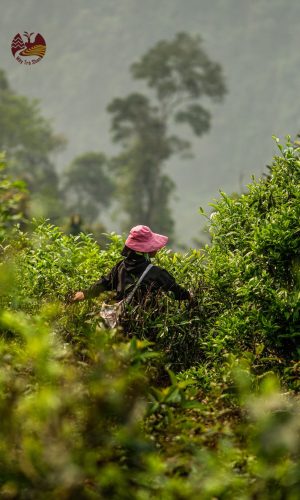 z5448622677930_171e9dd9e5f58806c0b8d5be4af8a2b0