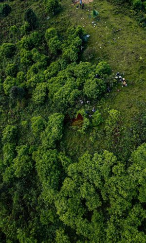 z5448622684820_691fc87974c77213de298be982f31df8