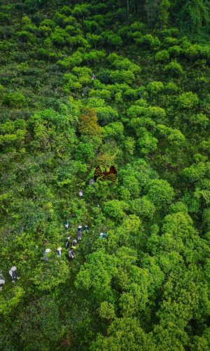 z5448622692072_90bbae08a4dd788f24ffb460daa9a972