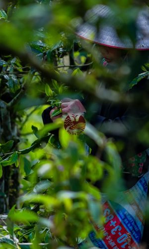 z5448622754094_bafcd07bbca54b629bd78b3583f95639