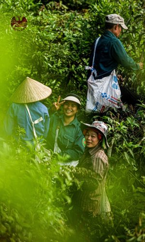 z5448622768375_fe00b5f2201937de22b33c734b2c6ed3