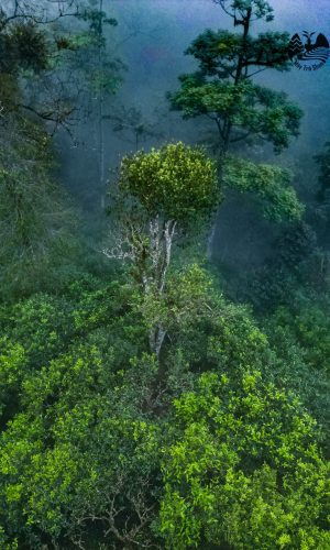 z5448622779448_2e860ce6b8d1cc6f64aa464346e934e7