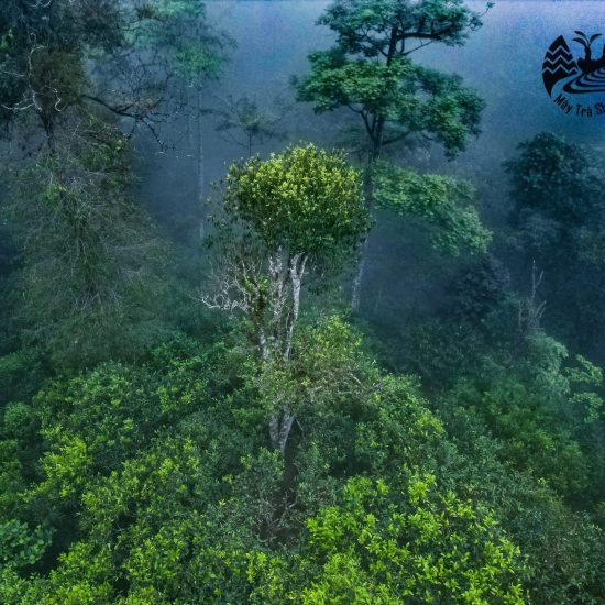 z5488083762604_d1713bd1478ff496208ac161ed8cddb2